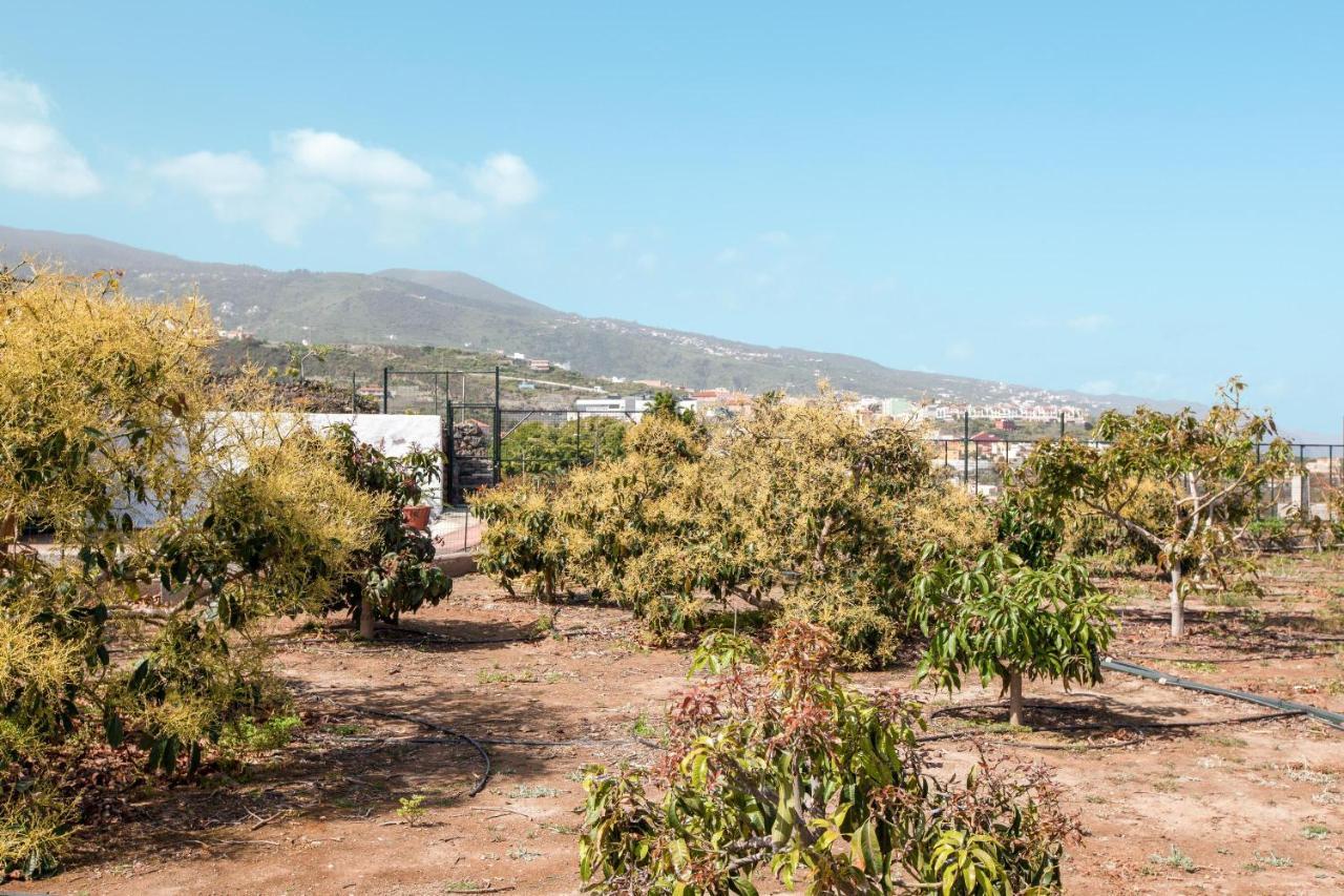 Casa Quemahierro 2 Villa Icod De Los Vinos Exteriör bild